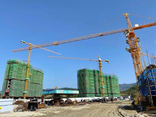 总投资4.3亿元！坛厂棚改项目进展顺利，项目担保机制保障居民权益